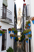 Alley with wall flower decorations and view of cathedral in Cordoba, Andalusia, Spain