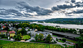 View over the Rhöndorf vineyards in south direction over the Rgein, Bad Honnef, North Rhine-Westphalia, Germany
