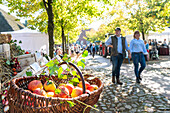 Apple basket on an autumn market, Ostholstein, Schleswig-Holstein, Germany