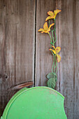 Yellow flower on wooden background