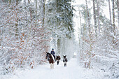 Donkeys following girl riding horse on snowy path