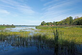 Flusslandschaft mit Naturschutzgebiet am Sankt Lorenz Strom, Quebec, Kanada