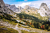 Die Ammergauer Alpen, Gipfel Krähe von der Nordseite und Geigelstein mit herbstlicher Laubfärbung, Bayern, Deutschland
