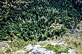 Kletterer im Nachstieg in der Mehrseillängenroute am Leonhardstein, bayrische Voralpen, Bayern, Deutschland