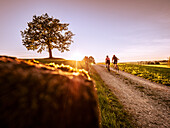Zwei Gravelbiker fahren in den Sonnenuntergang am Veiglberg bei Wolfsratshausen, Bayern, Deutschland