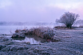 Wintermorgen an den Osterseen, Bayern, Deutschland, Europa