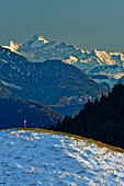 Verschneiter Wiesenrücken mit Gipfelkreuz vor Hohe Tauern mit Großglockner, Mangfallgebirge, Bayerische Alpen, Oberbayern, Bayern, Deutschland
