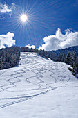 Powder snow slope with ski tracks, Wank, Estergebirge, Werdenfelser Land, Bavarian Alps, Upper Bavaria, Bavaria, Germany