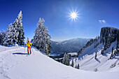 Woman on ski tour climbs up to Abereck, winter forest in the background and view to the Geigelstein massif, Abereck, Chiemgau Alps, Upper Bavaria, Bavaria, Germany