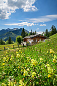Almgebäude mit Blumenwiese, Geigelsteingruppe im Hintergrund, Oberauerbrunstalm, Chiemgauer Alpen, Oberbayern, Bayern, Deutschland