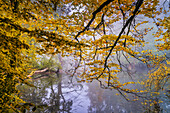 Nebeliger Herbstmorgen an der Würm, Leutstetten, Starnberg, Bayern, Deutschland