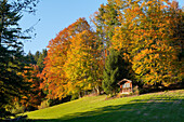 Kleine Hütte auf der Aidlinger Höhe im Herbst, Aidling, Murnau, Bayern, Deutschland, Europa