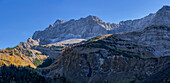 Blick auf den Stuhlkopf im Karwendel, Großer Ahornboden, Karwendel, Tirol, Österreich