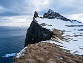 Klippen an der Nordküste, Hornstrandir Naturreservat, Hornvik Bucht, Island, Europa
