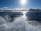Gischt, Bootsfahrt entlang der Küste der Westfjords, Island, Europa