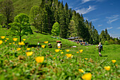 Wanderer gehen durch Blumenwiese auf Staudacher Alm zu, Staudacher Alm, Hochgern, Chiemgauer Alpen, Salzalpensteig, Oberbayern, Bayern, Deutschland