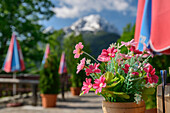 Blumenschmuck am Gasthof Gerstreit mit Watzmann unscharf im Hintergrund, Soleleitungsweg, Berchtesgadener Alpen, Salzalpensteig, Oberbayern, Bayern, Deutschland