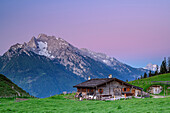 Alm bei Morgendämmerung mit Hochkalter, Mordaualm, Nationalpark Berchtesgaden, Berchtesgadener Alpen, Oberbayern, Bayern, Deutschland