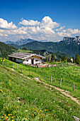 Alm with Chiemgau Alps with Hörndlwand in the background, Bischofsfellnalm, Hochgern, Chiemgau Alps, Upper Bavaria, Bavaria, Germany
