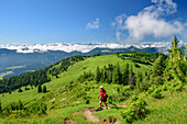 Man hiking climbs to Trainsjoch, Trainsjoch, Mangfall Mountains, Bavarian Alps, Upper Bavaria, Bavaria, Germany
