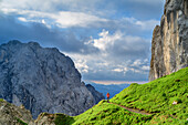 Woman hiking on mountain trail, Crete dei Cacciatori in the background, Carnic Alps, Carinthia, Austria
