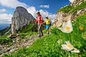 Man and woman hiking with Pic Chiadenis in the background, Passo Sesis, Carnic Alps, Carinthia, Austria