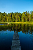 Kanu am Campingplatz Sulkavan Oravanpesät, Zwischen Juva und Sulkava führt die bekannte Kanutour Eichhörnchen Tour (Oravareitti) entlang, Finnische Seenplatte, Finnland