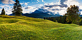 Humpback meadows between Mittenwald and Krün, Werdenfelser Land, behind it the Wettersteinspitze, 2151m, Wetterstein Mountains, Upper Bavaria, Bavaria, Europe