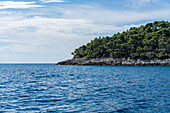 Blick auf die Insel Lokrum vor Dubrovnik, Dalmatien, Kroatien.