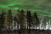 Polarlichter, Nordlichter, Muonio, Lappland, Finnland