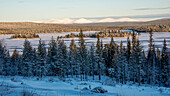 Blick vom Särkitunturi auf den Pallastunturi Muonio, Lappland, Finnland