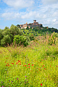 View to Capalbio, Maremma, Province of Grosseto, Toscana, Italy