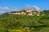 View to Civitella Marittima, Civitella Paganico, Maremma, Province of Grosseto, Toscana, Italy