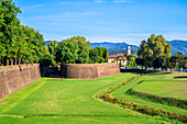 City walls of Lucca, Province of Lucca, Toscana, Italy