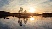 Insel mit Bäumen spiegelt im See im Sonnenuntergang in Lappland in Schweden\n