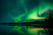 Polarlichter im Nachthimmel am Seeufer mit Bäumen und Spiegelung im Wasser in Lappland, Schweden\n