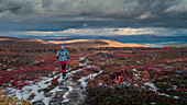 Frau wandert im Pieljekaise Nationalpark im Herbst mit Schnee in Lappland in Schweden\n