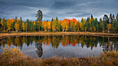 Colorful trees with autumn leaves are reflected in lake in Dalarna, Sweden