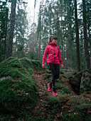 Woman hikes over mossy rocks through forest in Tyresta National Park in Sweden