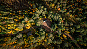 VW Campervan Bulli im Wald im Herbst in Jämtland in Schweden von oben\n