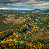 Fluss und Wald im Herbst in Jämtland in Schweden von oben\n