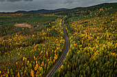 Straße durch Herbstwald in Jämtland in Schweden, entlang der Wilderness Road, von oben\n