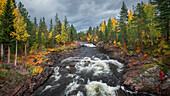 Fluss mit Stromschnelle entlang der Wilderness Road mit Bäumen im Herbst in Jämtland in Schweden\n