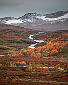 Fluss mit verschneiten Bergen und Bäumen im Herbst entlang der Wilderness Road, auf der Hochebene Vildmarksvägen in Jämtland im Herbst in Schweden\n