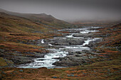 River in the fog in autumn along the Wilderness Road, on the Vildmarksvagen plateau in Jämtland in autumn in Sweden