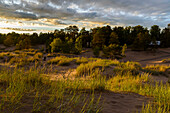 Popular beach at Yyteri, Pori, Finland