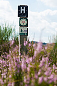 Hiking trail sign, Heidschnuckenweg, near Niederhaverbeck, Lüneburg Heath Nature Park, Lower Saxony, Germany