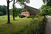Reetgedecktes Bauernhaus, Wilsede, Naturpark Lüneburger Heide, Niedersachsen, Deutschland