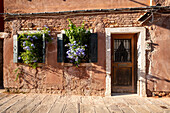 Blick auf eine verwachsenen Hauseingang in Venedig, Venetien, Italien, Europa