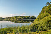 Moritzburg lake landscape in summer, Saxony, Germany